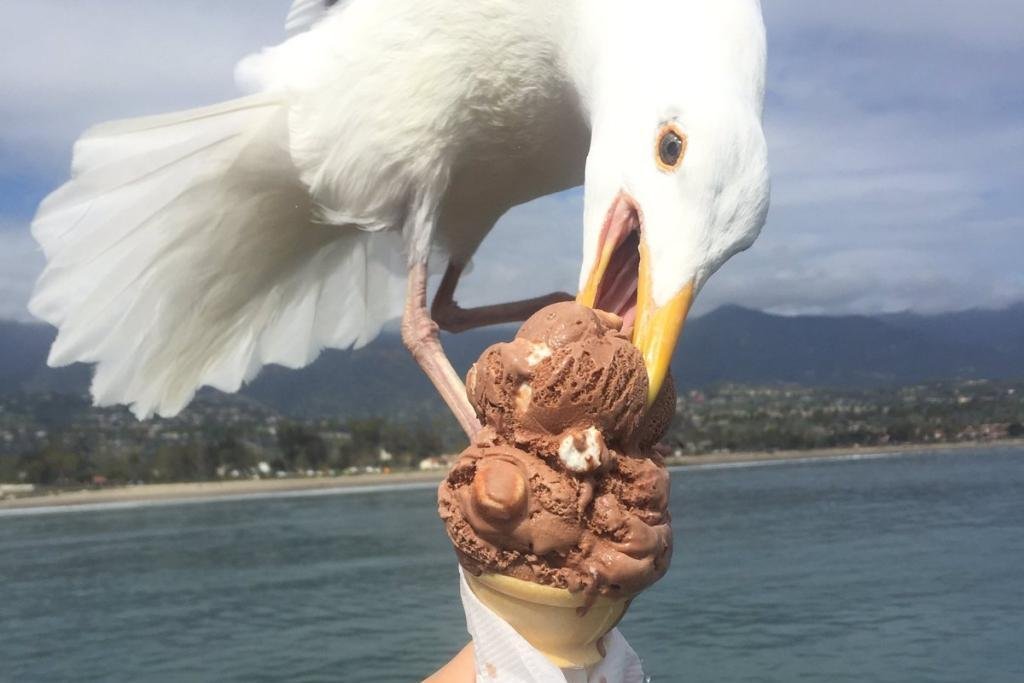 Monday Afternoon Links of March