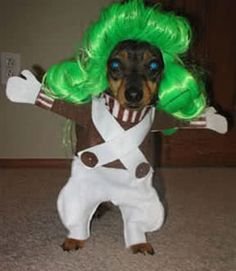 Monday Morning Links