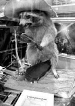 Wednesday Morning Links