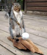 Monday Morning Links