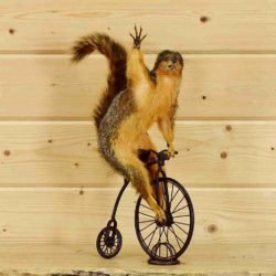 Tuesday Morning Links