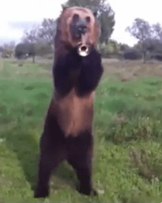 Wednesday Morning Links