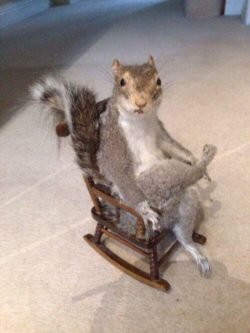 Wednesday Morning Links