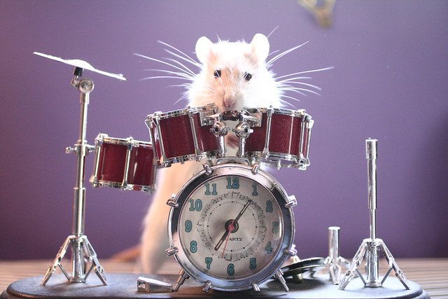 Tuesday Morning Links