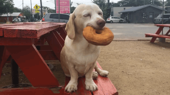 Wednesday Morning Links