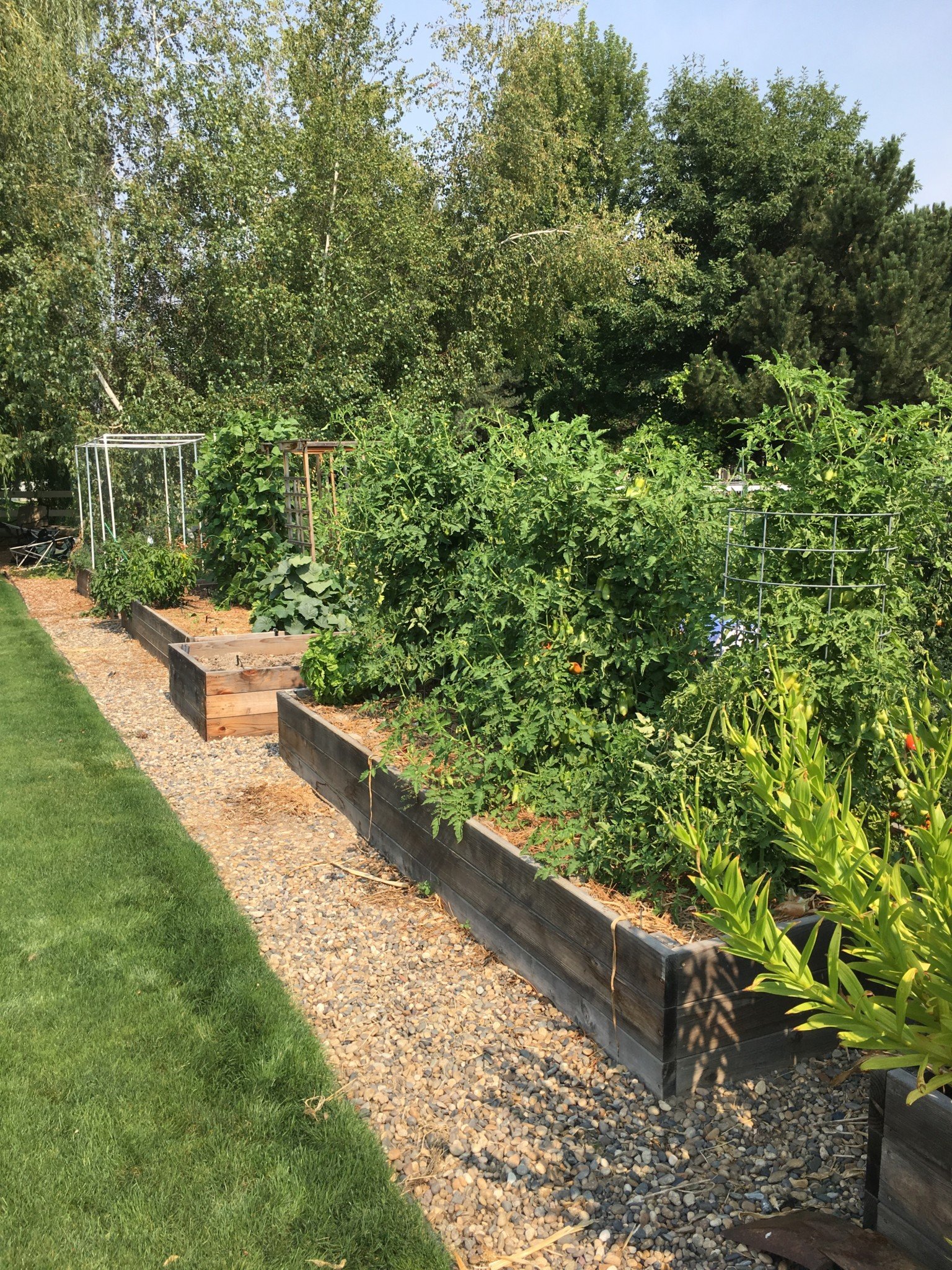 Saturday evening links of garden woes