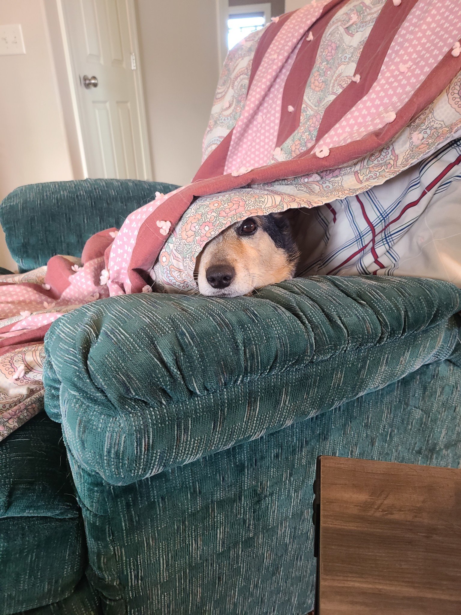 Friday Afternoon Links of Heck!