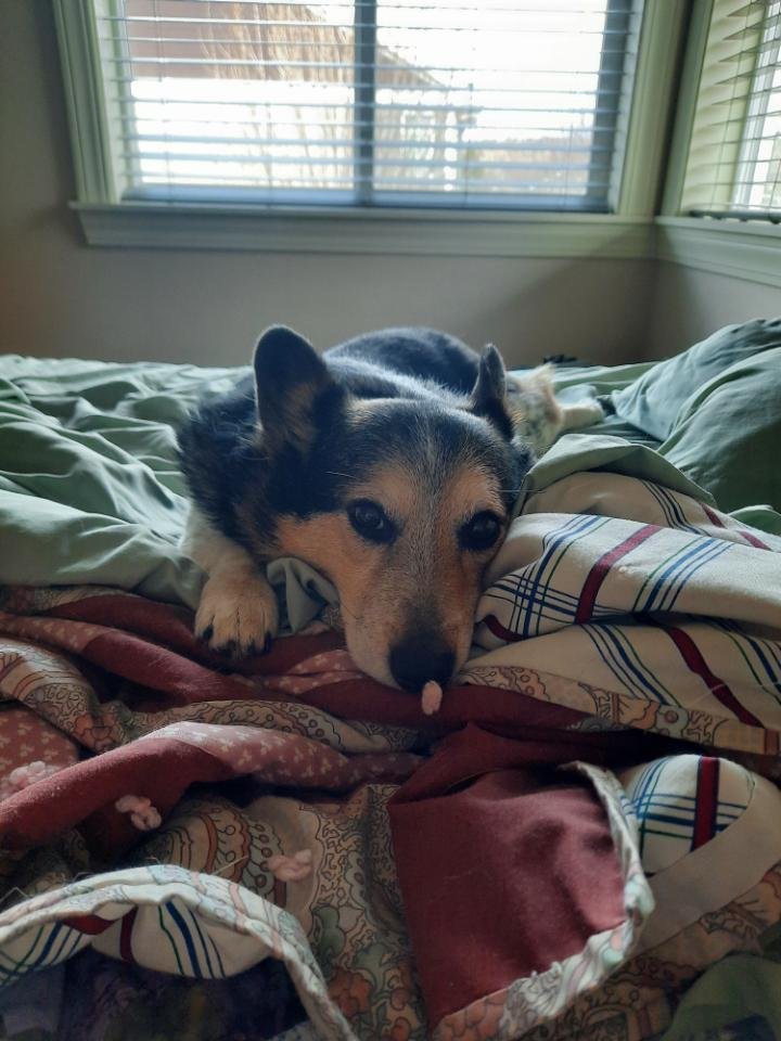 Friday Afternoon Links for the New Year