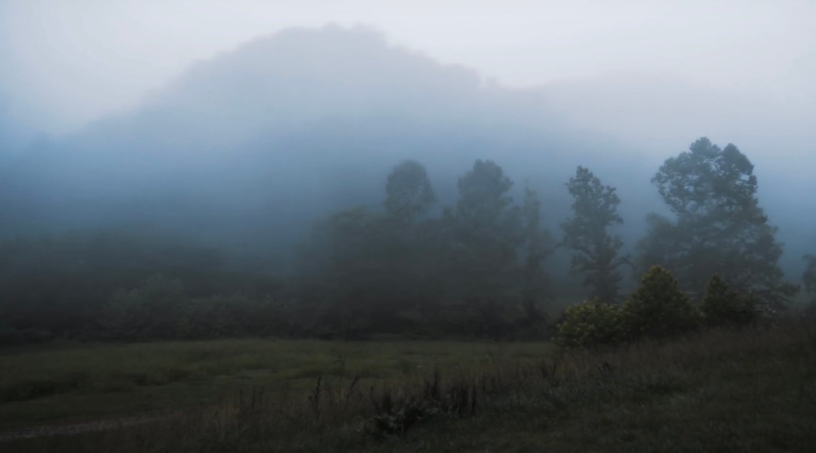 Off the Grid with Thomas Massie