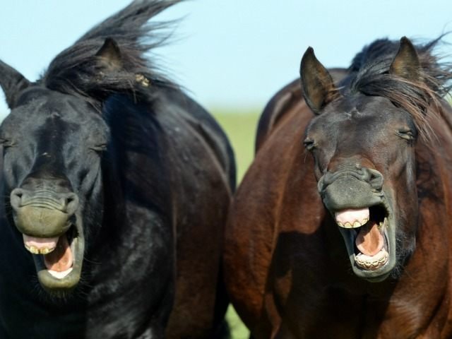 Sunday Morning No-Name Links