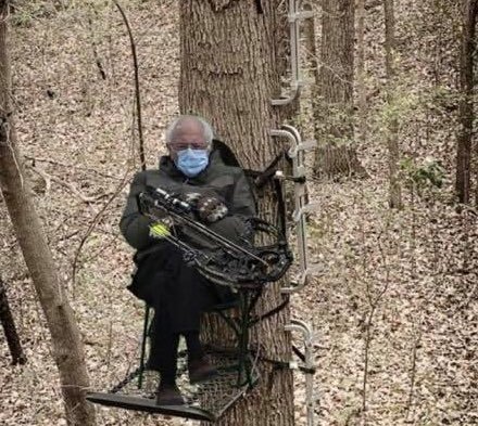 Friday Afternoon Relevant to Riven’s Interests Links