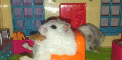 Monday Morning Links