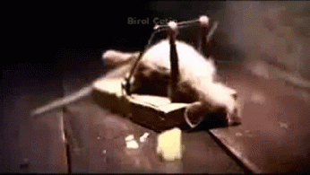 Friday Morning Links