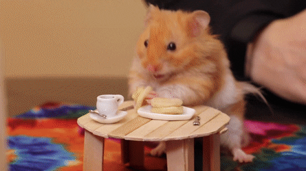 Wednesday Morning Links