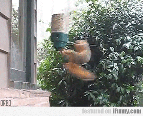 Monday Morning Links