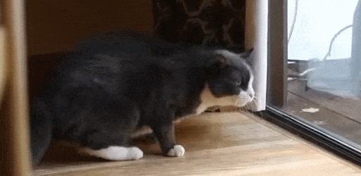 Tuesday Morning Links