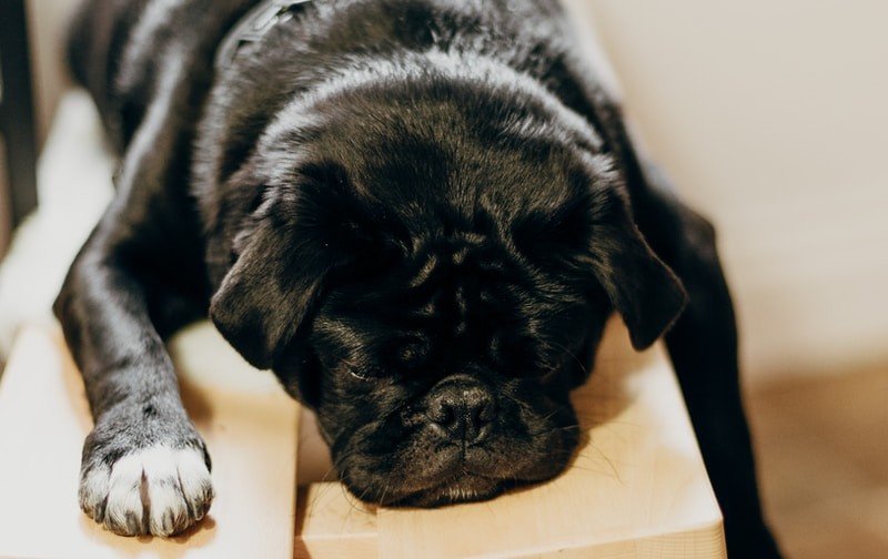 Thursday Morning  SPecial Links