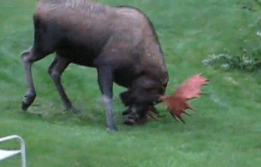 Friday Morning Links