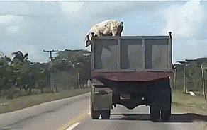 Wednesday Morning Links