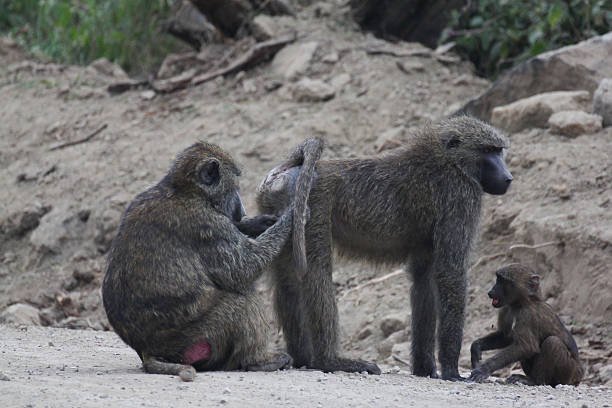 Wednesday Morning Links