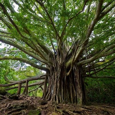 Hey look! I remembered it’s Saturday evening links