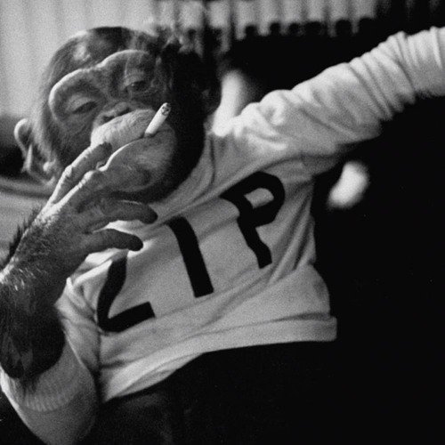 Thursday Morning Links