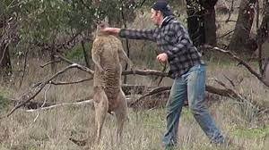 Saturday evening linkaroos