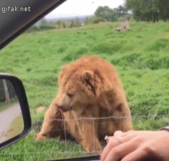 Tuesday Morning Links