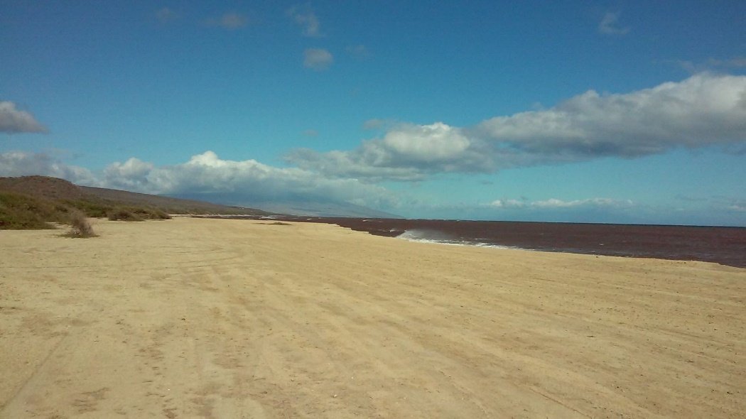 Thursday Oh Crap Afternoon Links