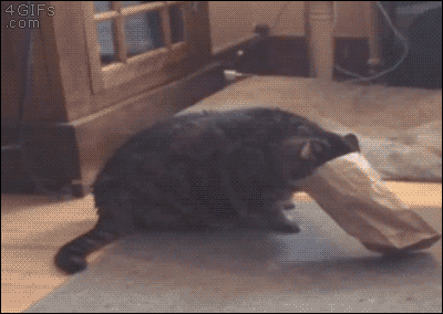 Wednesday Morning Links