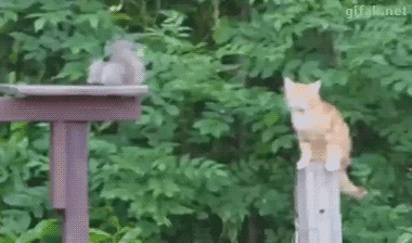 Wednesday Morning Links