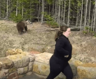 Friday Afternoon Links