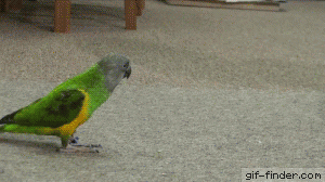 Wednesday Morning Links