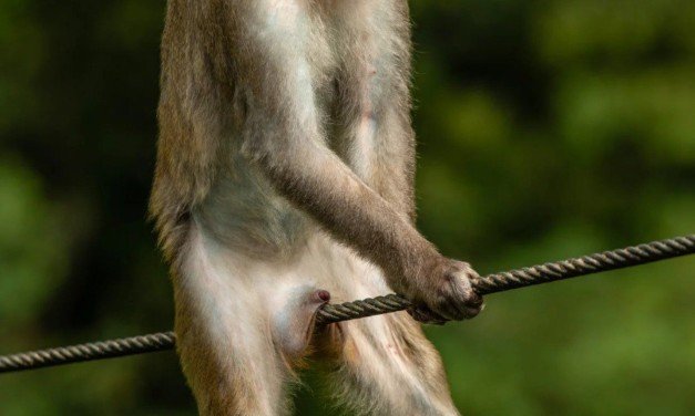 Friday Morning Links