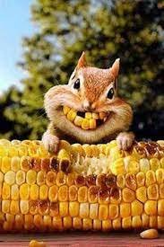 Tuesday Morning Links