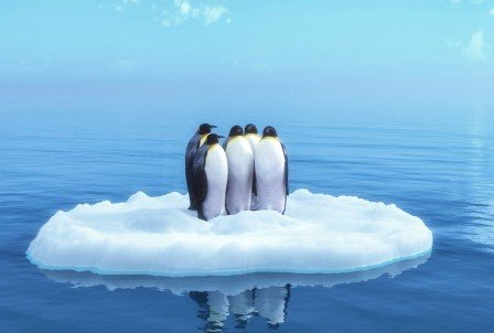 Sunday Morning Defrosting Links