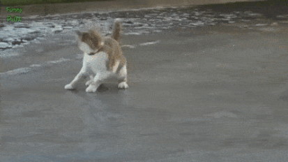 Thursday Morning Links