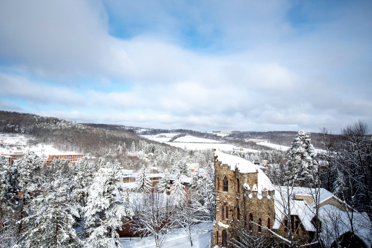 Saturday Morning Deep Frozen Ready To Serve Links