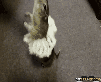 Tuesday Morning Links