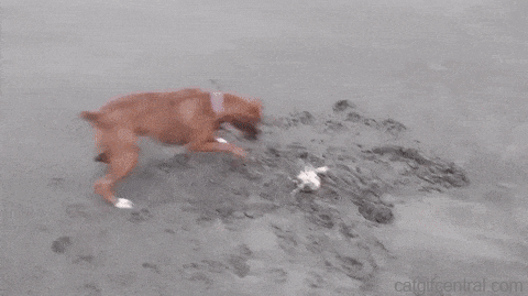 Wednesday Morning Links