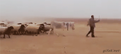 Thursday Morning Links