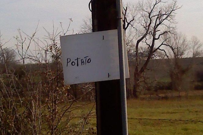 Sunday Potatohead Links