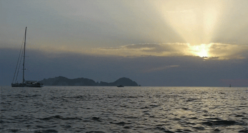 Wednesday Morning Links