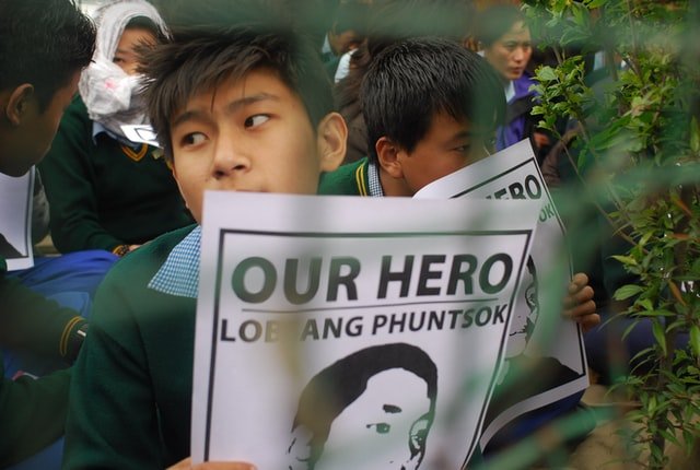 Poppy’s Afternoon Links