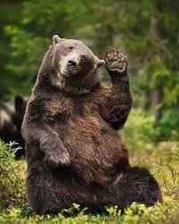 Tuesday Morning Links