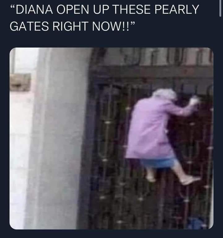 Friday Morning Links