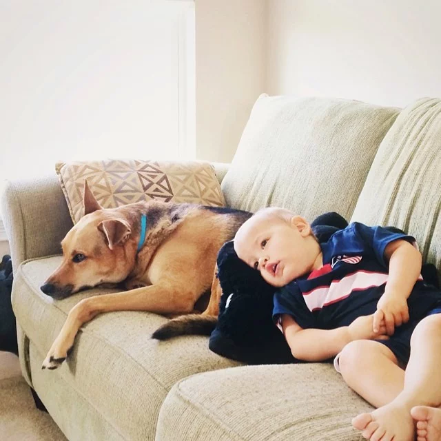 Saturday evening, here you go links