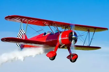 Saturday evening, taking wing links