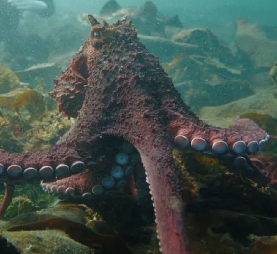 Friday Afternoon Links