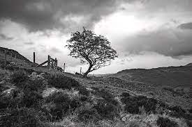 Saturday evening dreary links